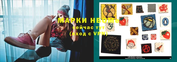 СК Алексин