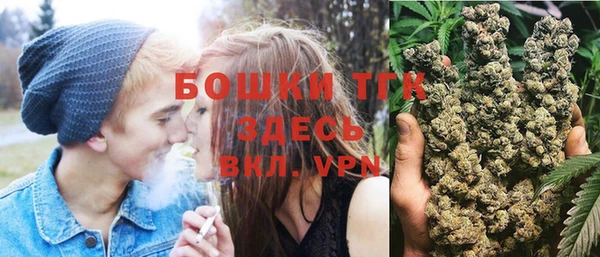СК Алексин