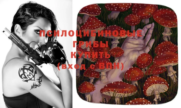 соль курить ск Алзамай