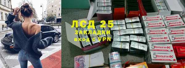 apvp Рославль