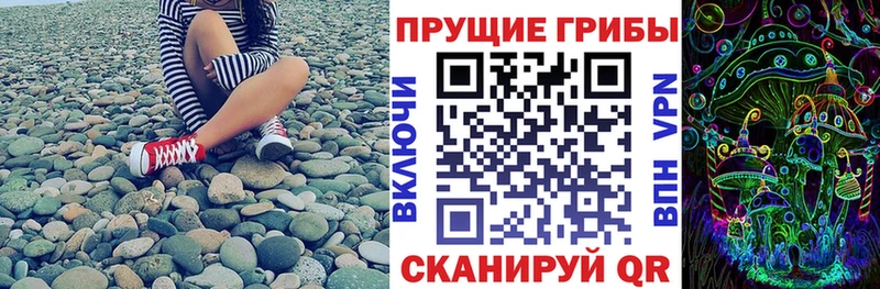 Галлюциногенные грибы прущие грибы  hydra зеркало  Пугачёв 